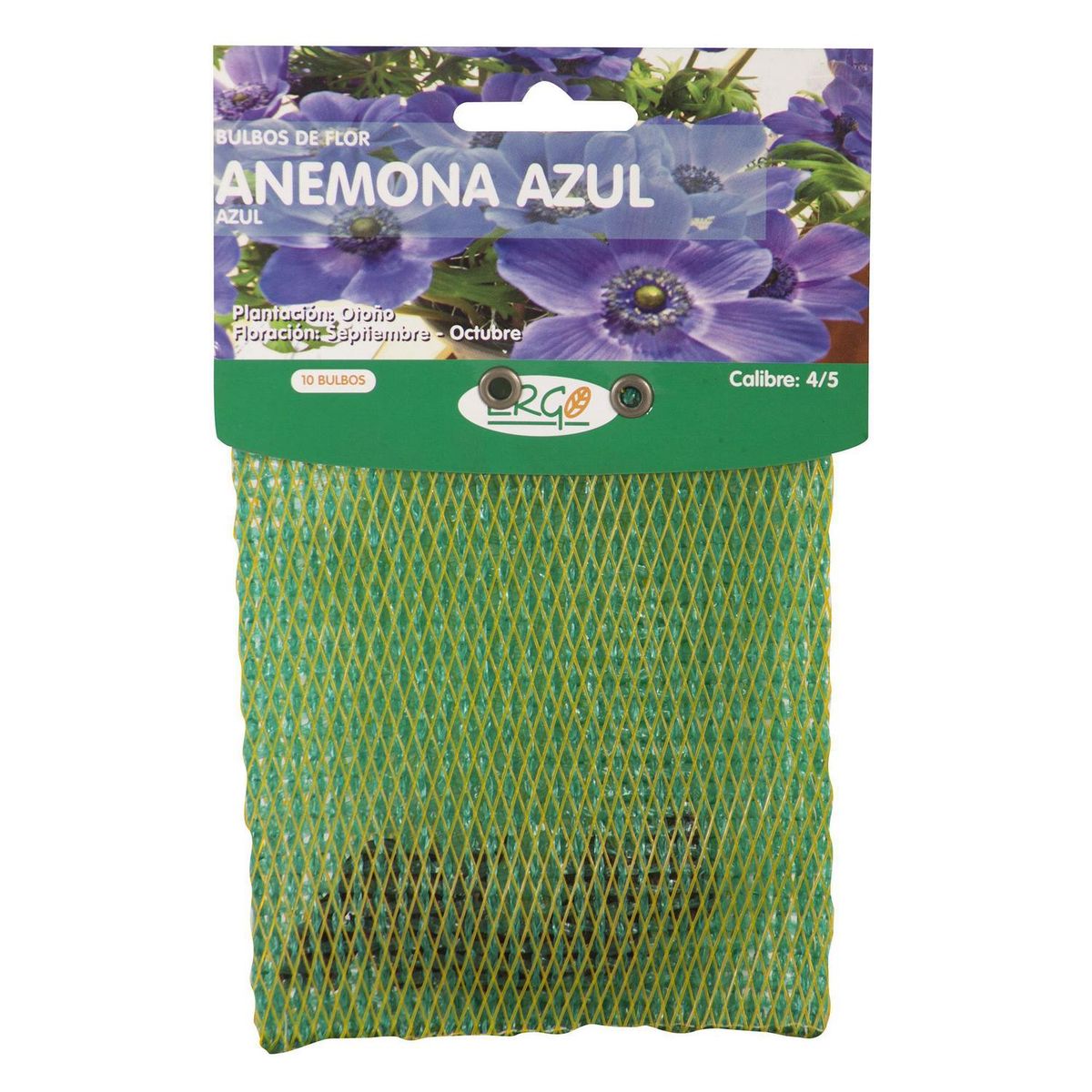 ERGO - Bulbo anémona 10 unidades azul