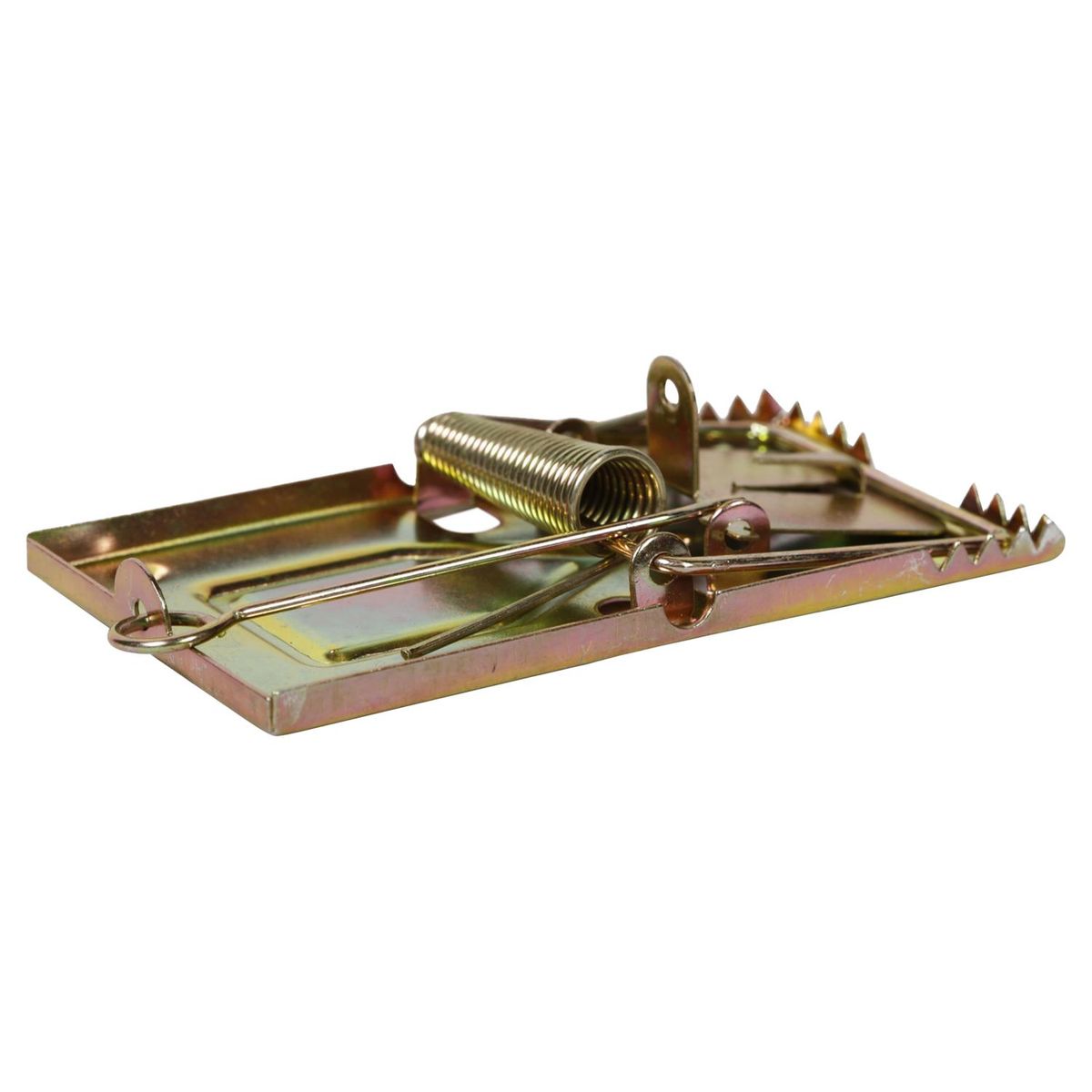 RECKITT - Trampa para lauchas