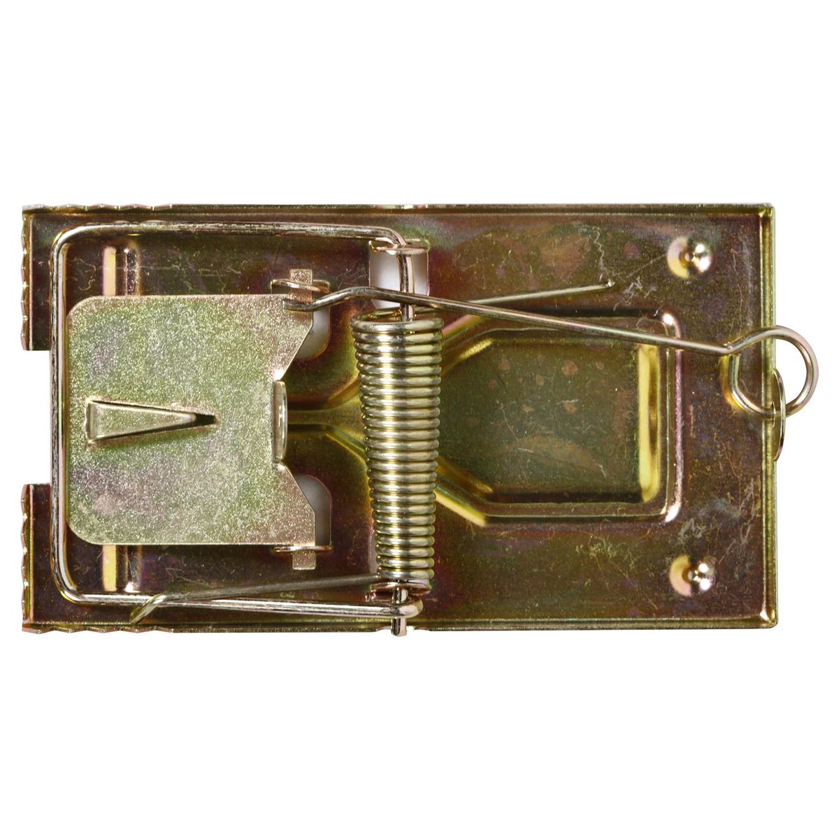 RECKITT - Trampa para lauchas