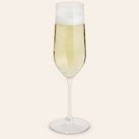 Set 6 Copas de Champán 200 ml Cristal Transparente