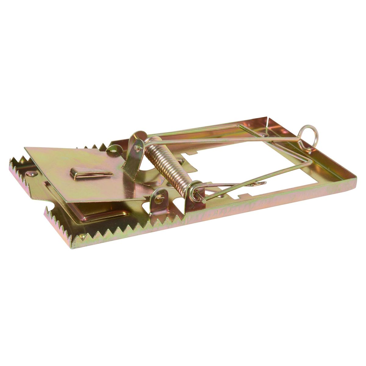 LIOI - Trampa para ratones