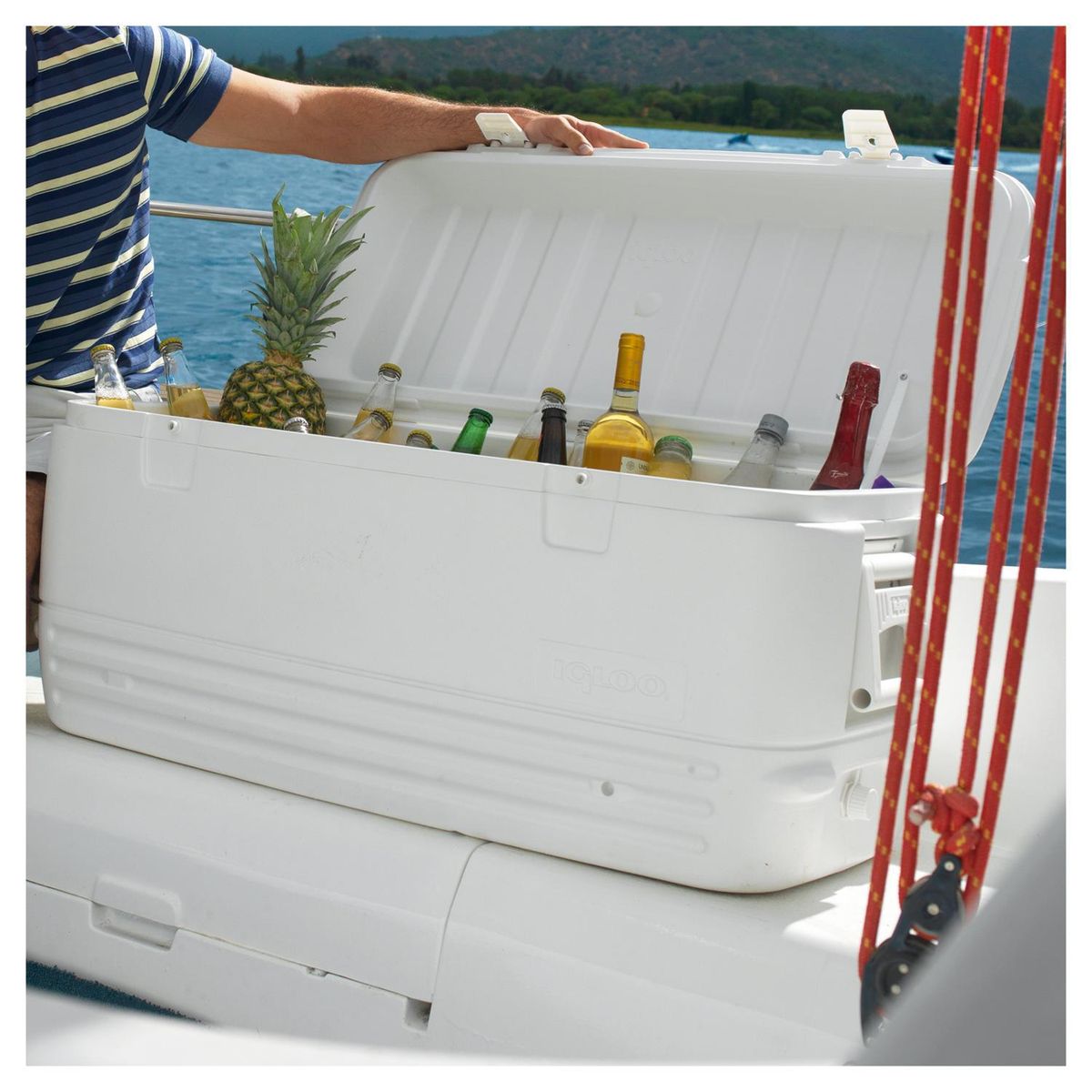 IGLOO - Cooler 113 l Blanco