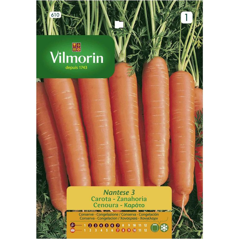 Semilla Zanahoria Nantesa 4 gr Sachet
