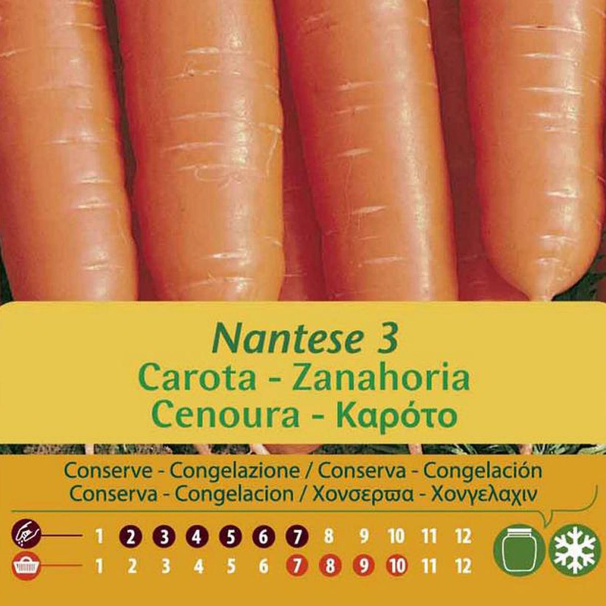 VILMORIN - Semilla Zanahoria Nantesa 4 gr Sachet