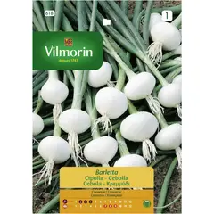 VILMORIN - Semilla cebollÃ­n barletta 2 gr sachet