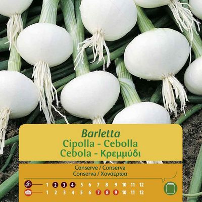 Imagen 2 del producto Semilla Cebollín Barletta 2 gr Sachet