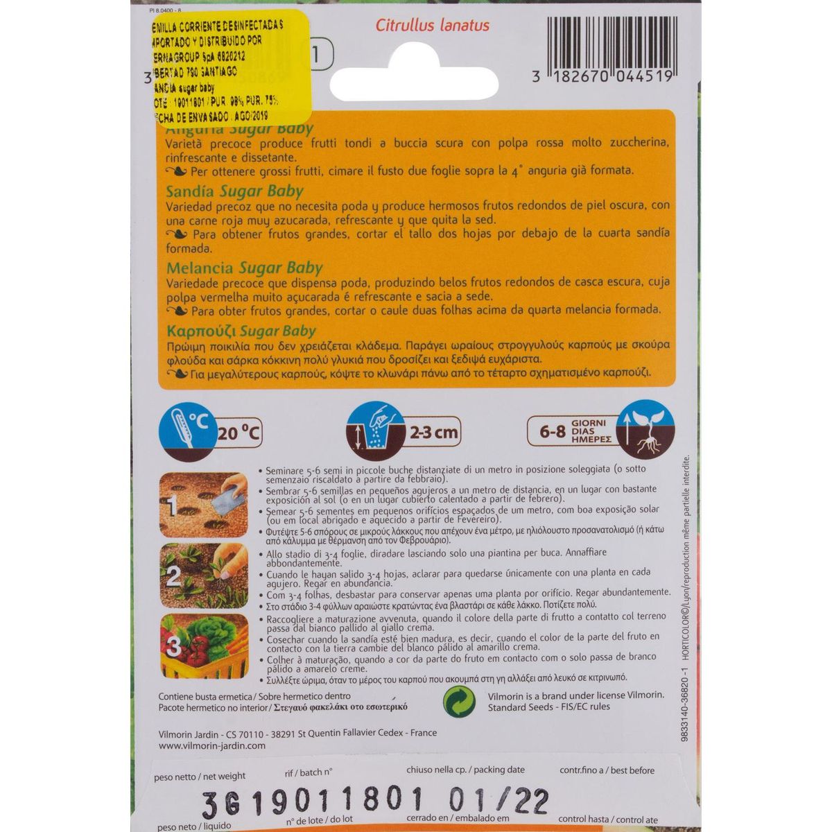 VILMORIN - Semilla Sandía Sugar Baby 3 gr Sachet