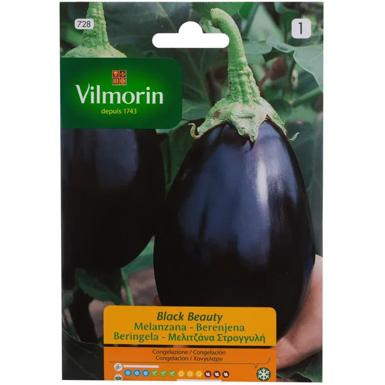 Semilla Berenjena Black Beauty 3 gr Sachet