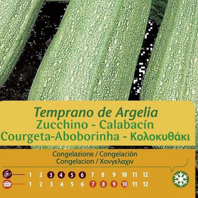 Imagen 2 del producto Semilla Zapallo Italiano Arge 3 gr Sachet