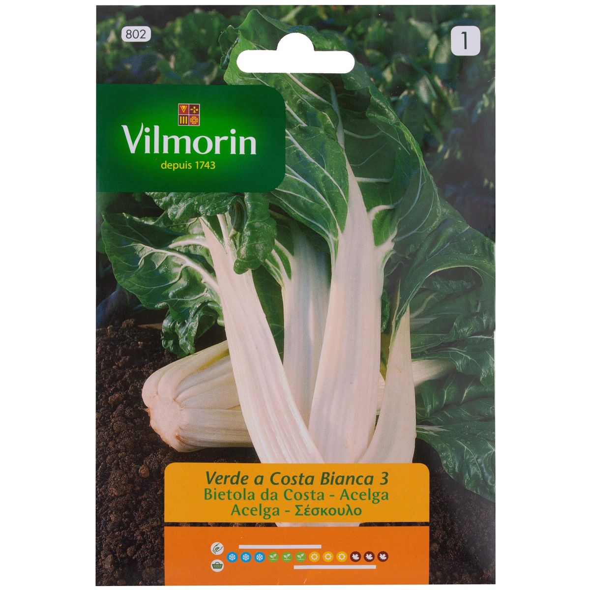 VILMORIN - Semilla Acelga Verde de Penca 5 gr Sachet