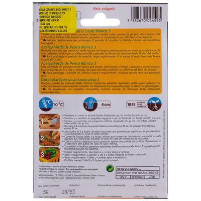 Imagen 2 del producto Semilla Acelga Verde de Penca 5 gr Sachet