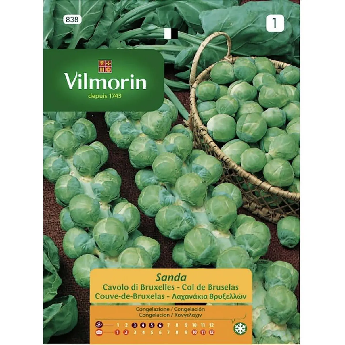 VILMORIN - Semilla Hortaliza Repollo Bruselas 1 gr Sachet