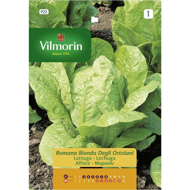 Semilla Lechuga Blonde 10 gr Sachet