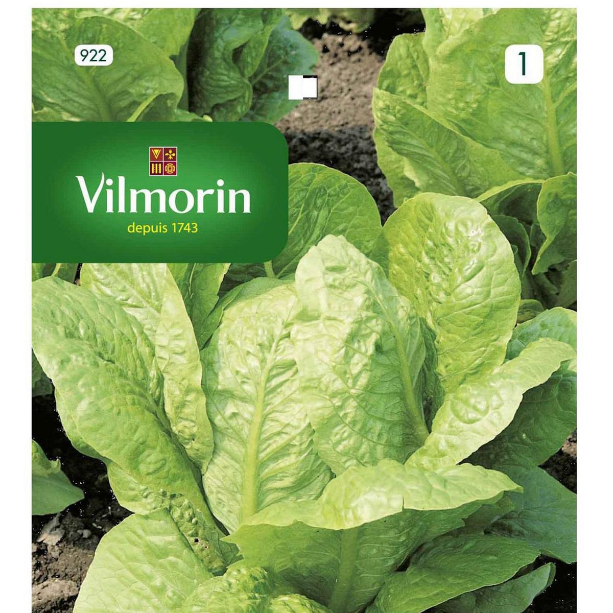 VILMORIN - Semilla Lechuga Blonde 10 gr Sachet