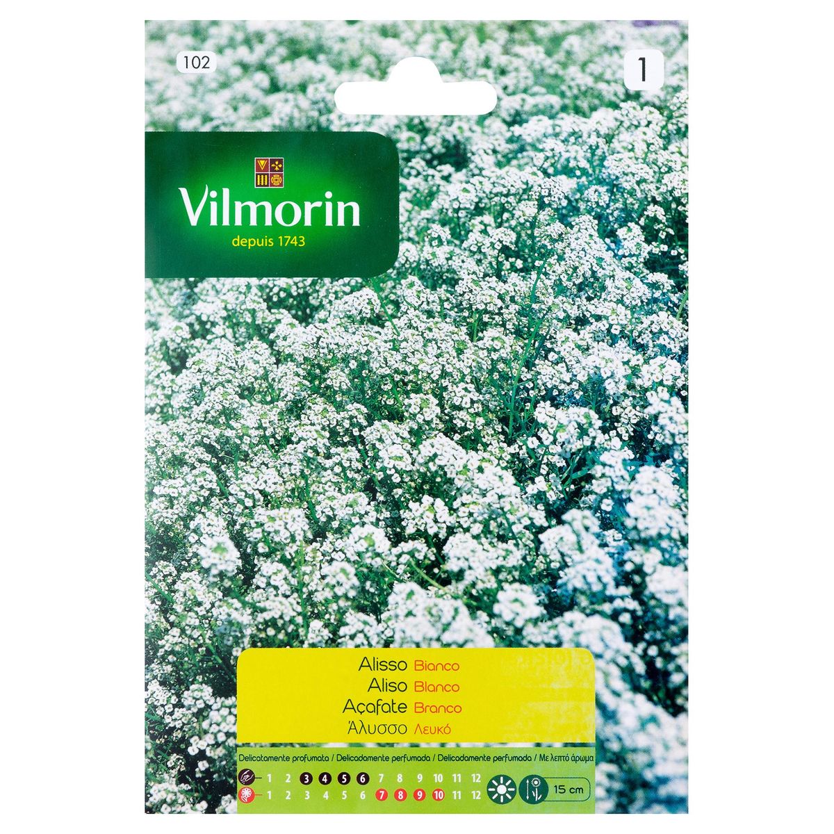 VILMORIN - Semilla Flor Aliso Blanco 1 gr Sachet