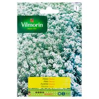 Semilla Flor Aliso Blanco 1 gr Sachet
