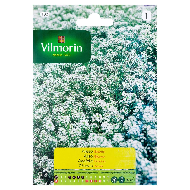 VILMORIN - Semilla flor aliso blanco 1 gr sachet