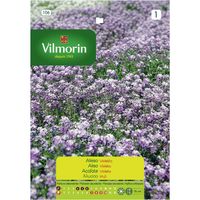 Semilla Flor Aliso Violeta 0.6 gr Sachet