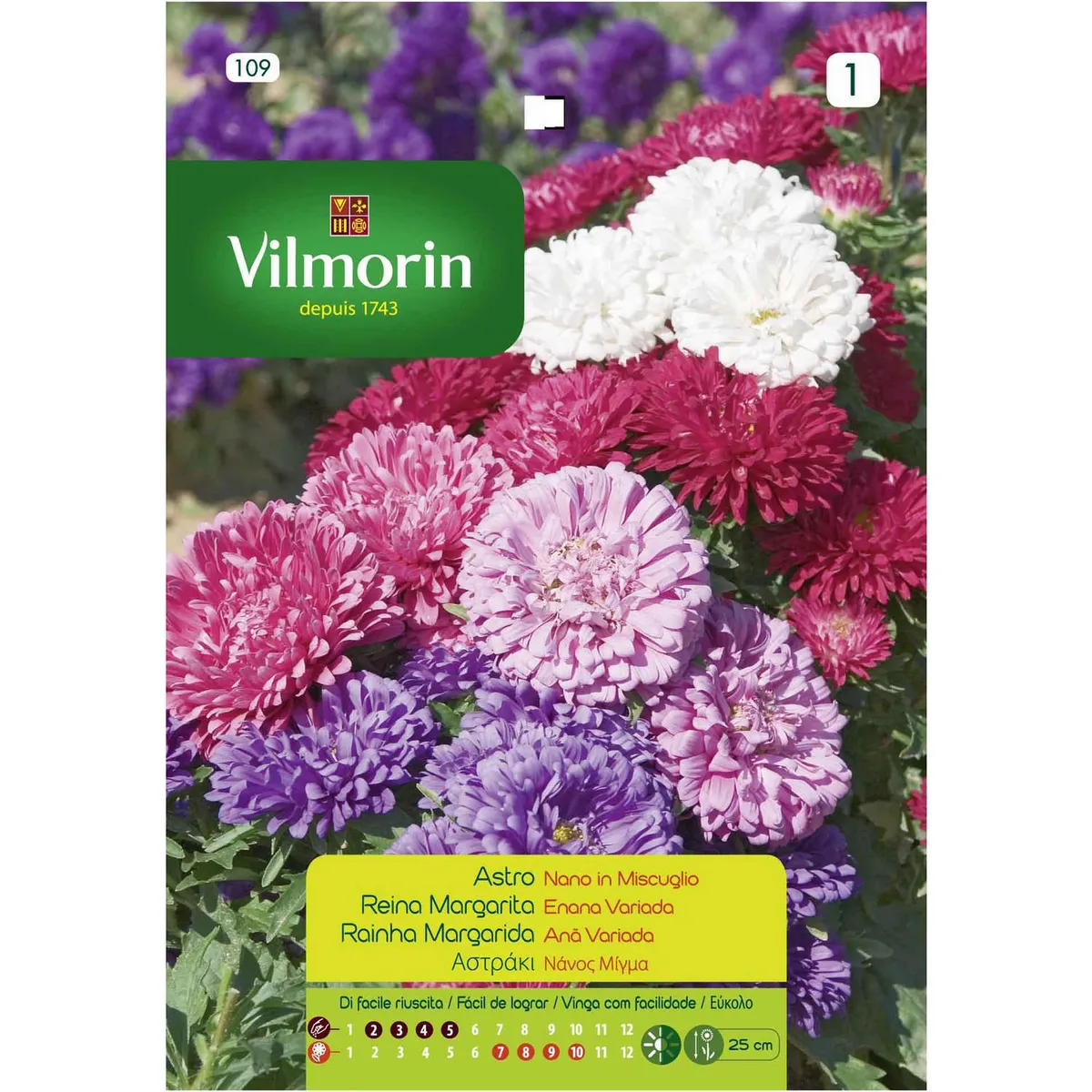 VILMORIN - Semilla Flor Reina Margarita 0.8 gr Sachet