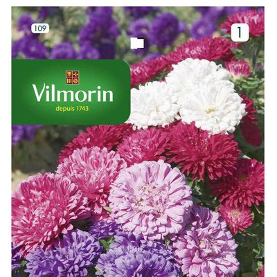 Imagen 2 del producto Semilla Flor Reina Margarita 0.8 gr Sachet