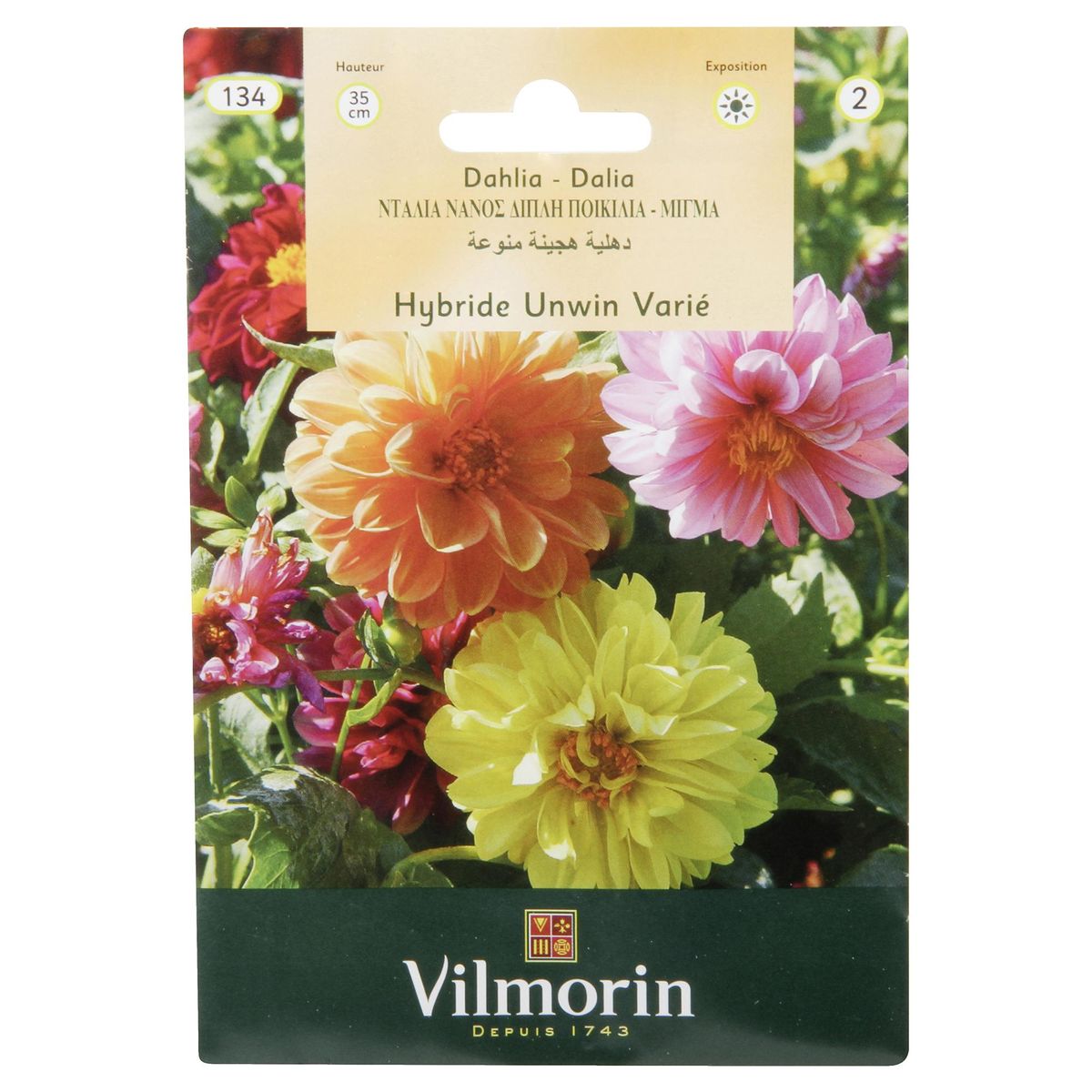 VILMORIN - Semilla Flor Dalia Enana 5 gr Sachet