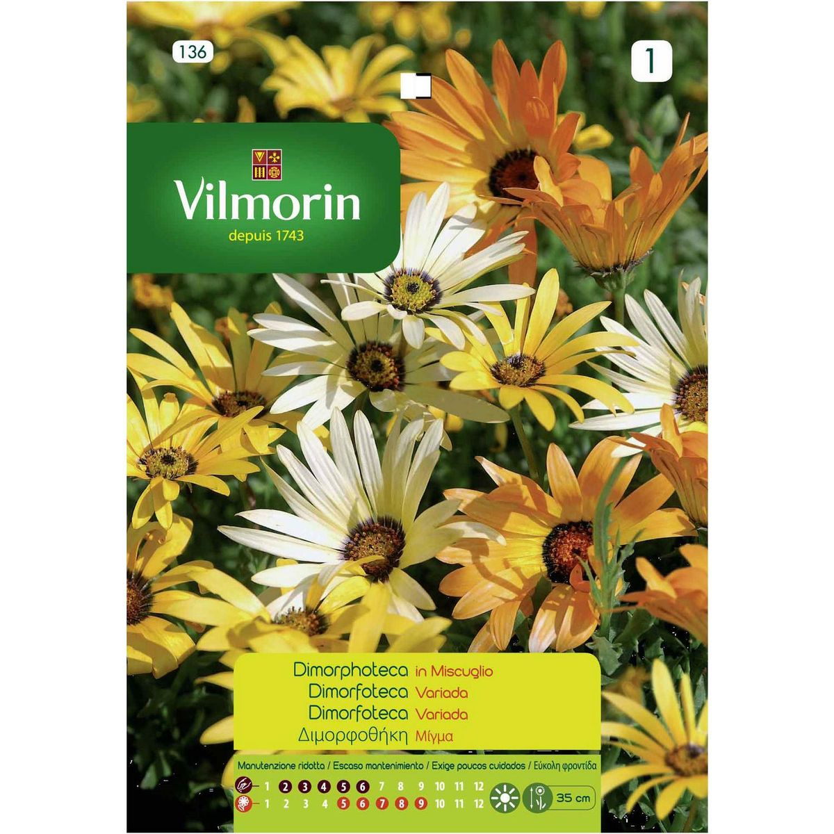 VILMORIN - Semillas Flor Dimorfoteca 1 gr Sachet