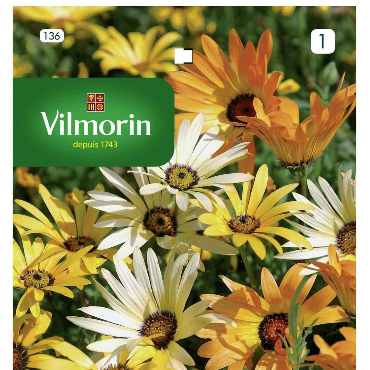 VILMORIN - Semillas Flor Dimorfoteca 1 gr Sachet