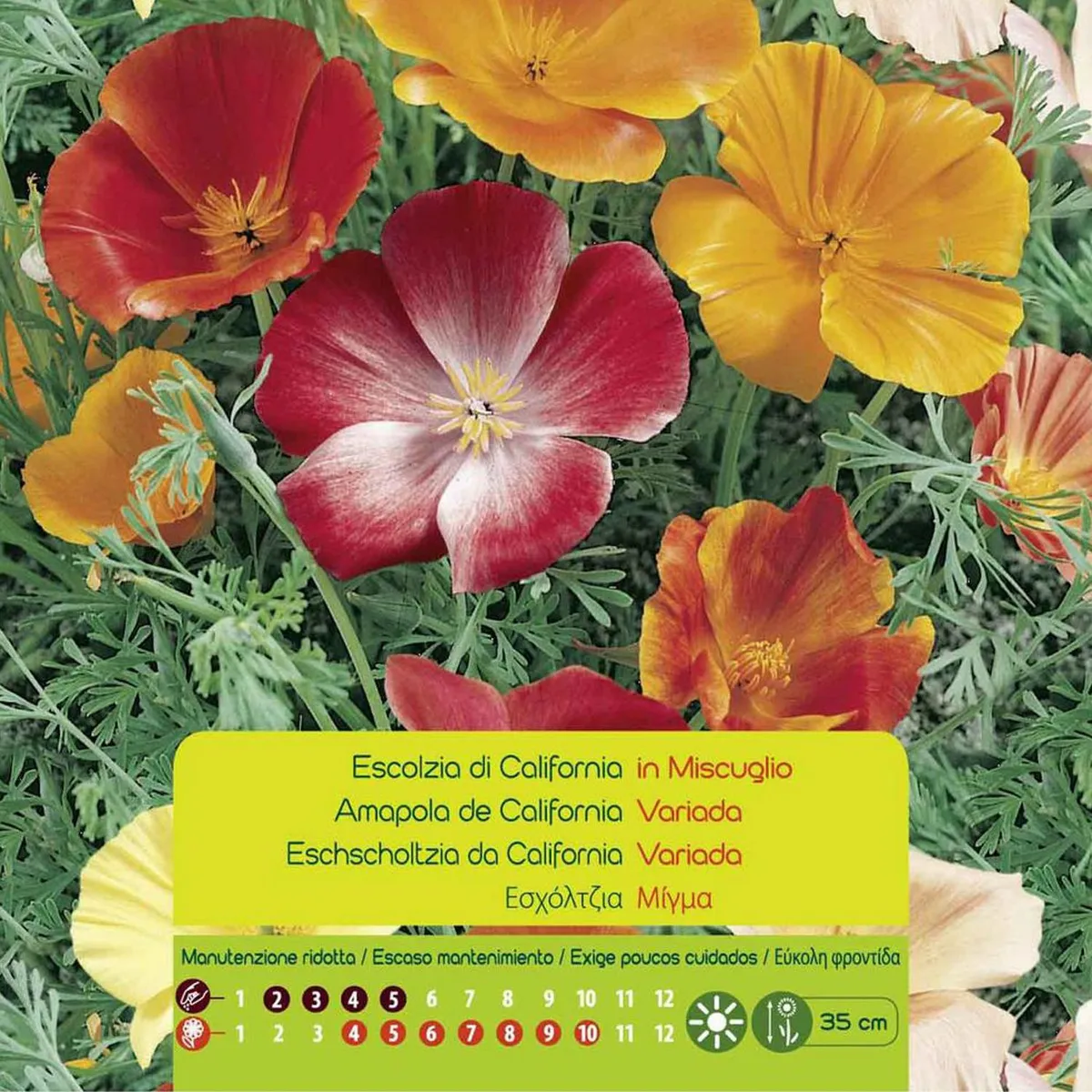 VILMORIN - Semilla Flor Amapola Californiana 1.5 gr Sachet