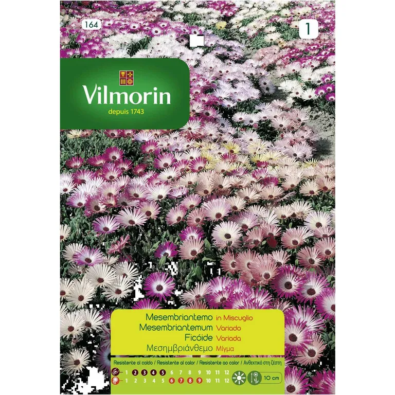 Semilla Flor Tapete Mágico 1 gr Sachet
