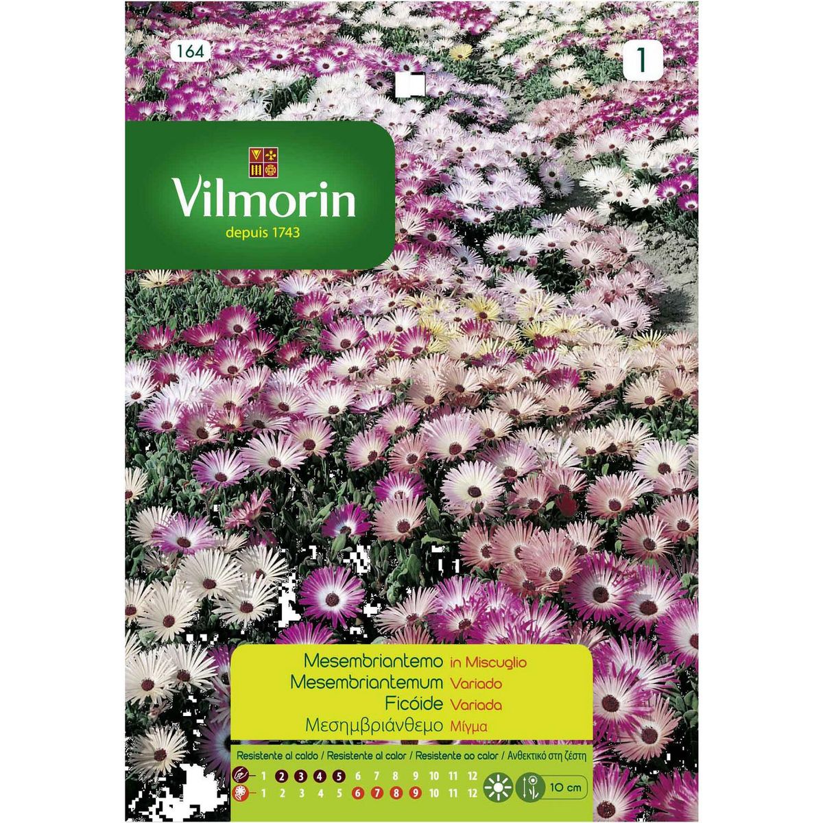 VILMORIN - Semilla Flor Tapete Mágico 1 gr Sachet