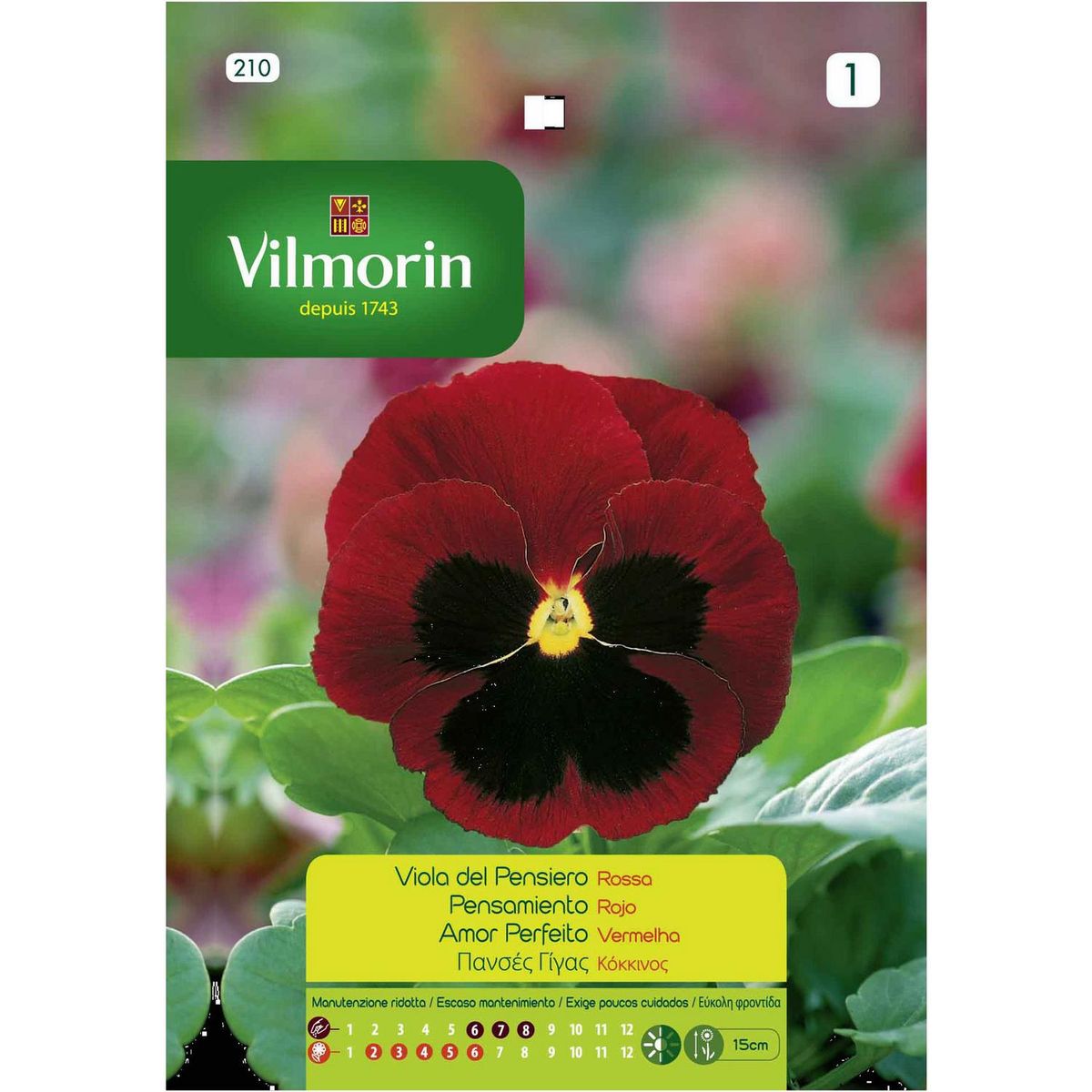 VILMORIN - Semilla Flor Pensamiento Rojo 0.5 gr Sachet