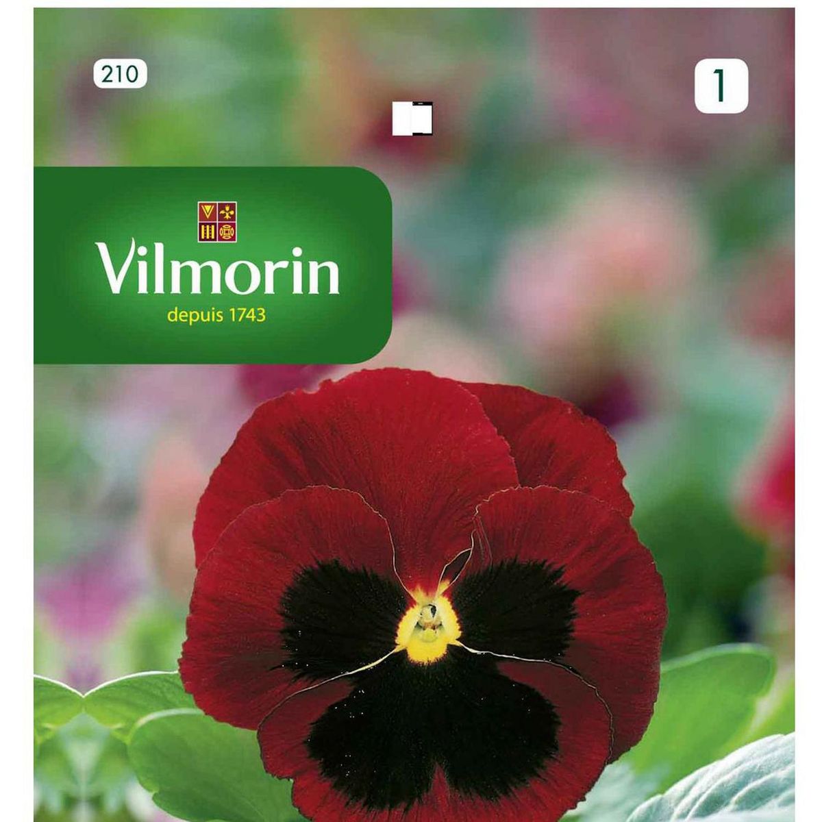 VILMORIN - Semilla Flor Pensamiento Rojo 0.5 gr Sachet