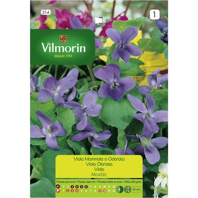 Semilla flor violeta 4 estaciones 0,3 gr sachet