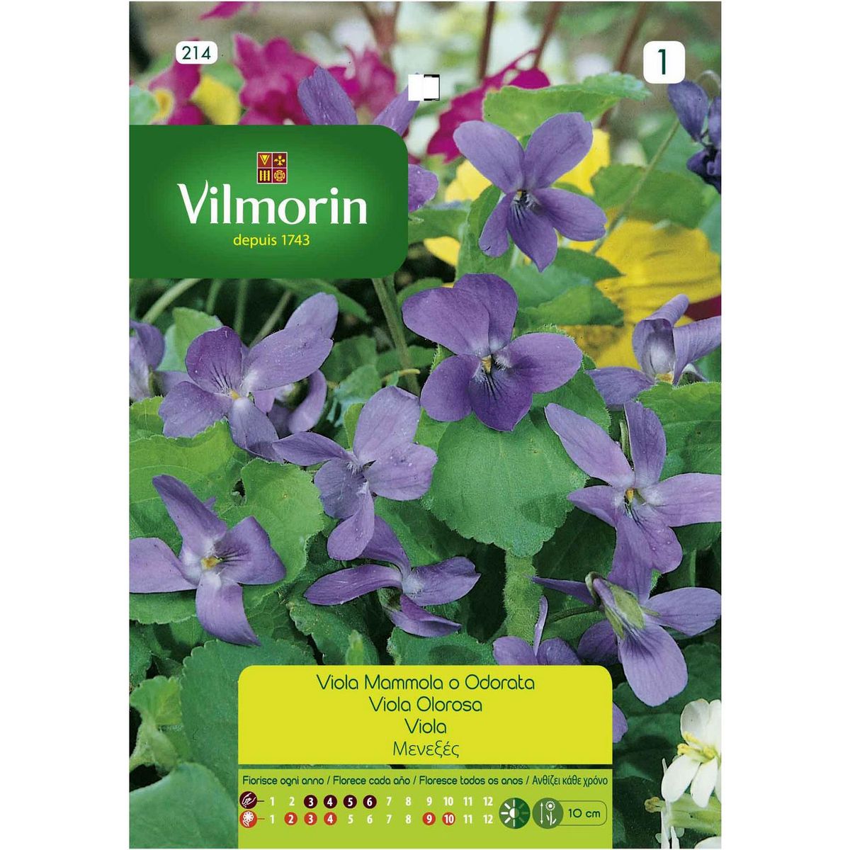 VILMORIN - Semilla Flor Violeta 4 Estaciones 0.3 gr Sachet