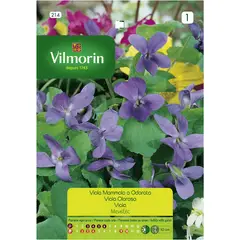 VILMORIN - Semilla flor violeta 4 estaciones 0,3 gr sachet