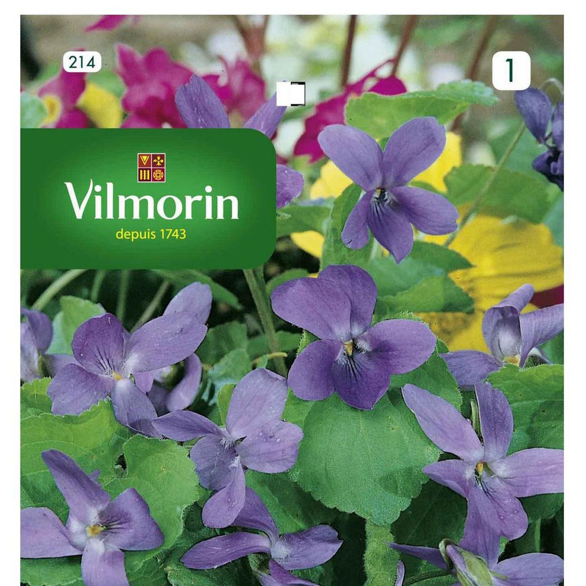 VILMORIN - Semilla Flor Violeta 4 Estaciones 0.3 gr Sachet