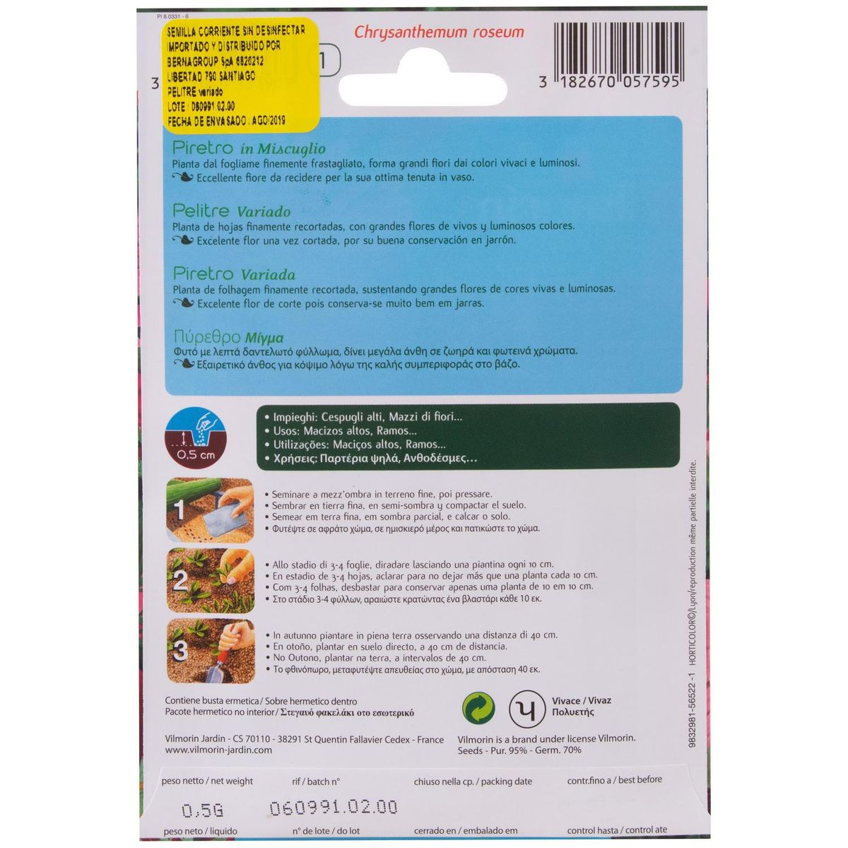 VILMORIN - Semilla Flor Pelitre Gigante 0.5 gr Sachet