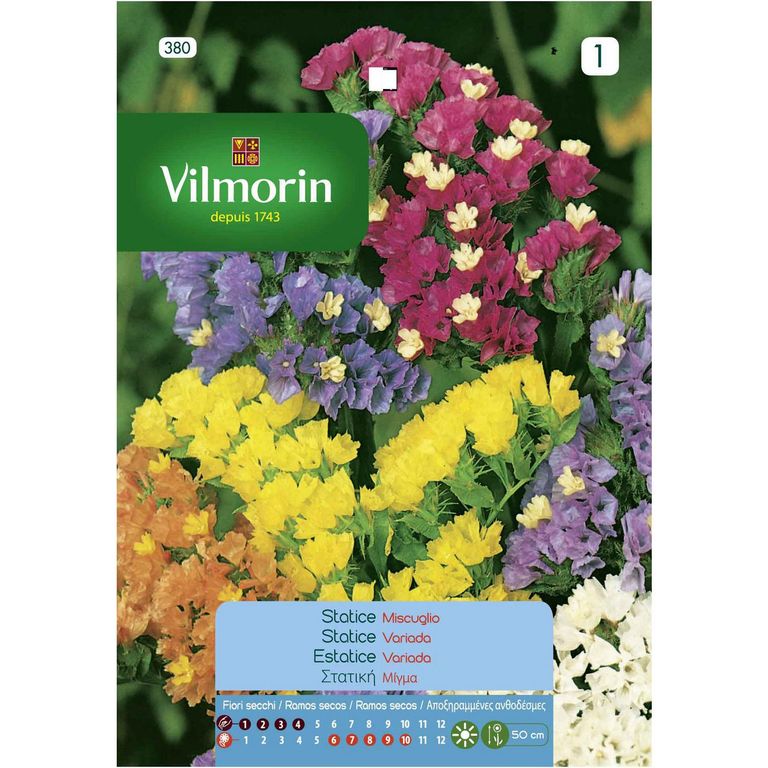 Semilla Flor Statice Simiata 0.5 gr Sachet