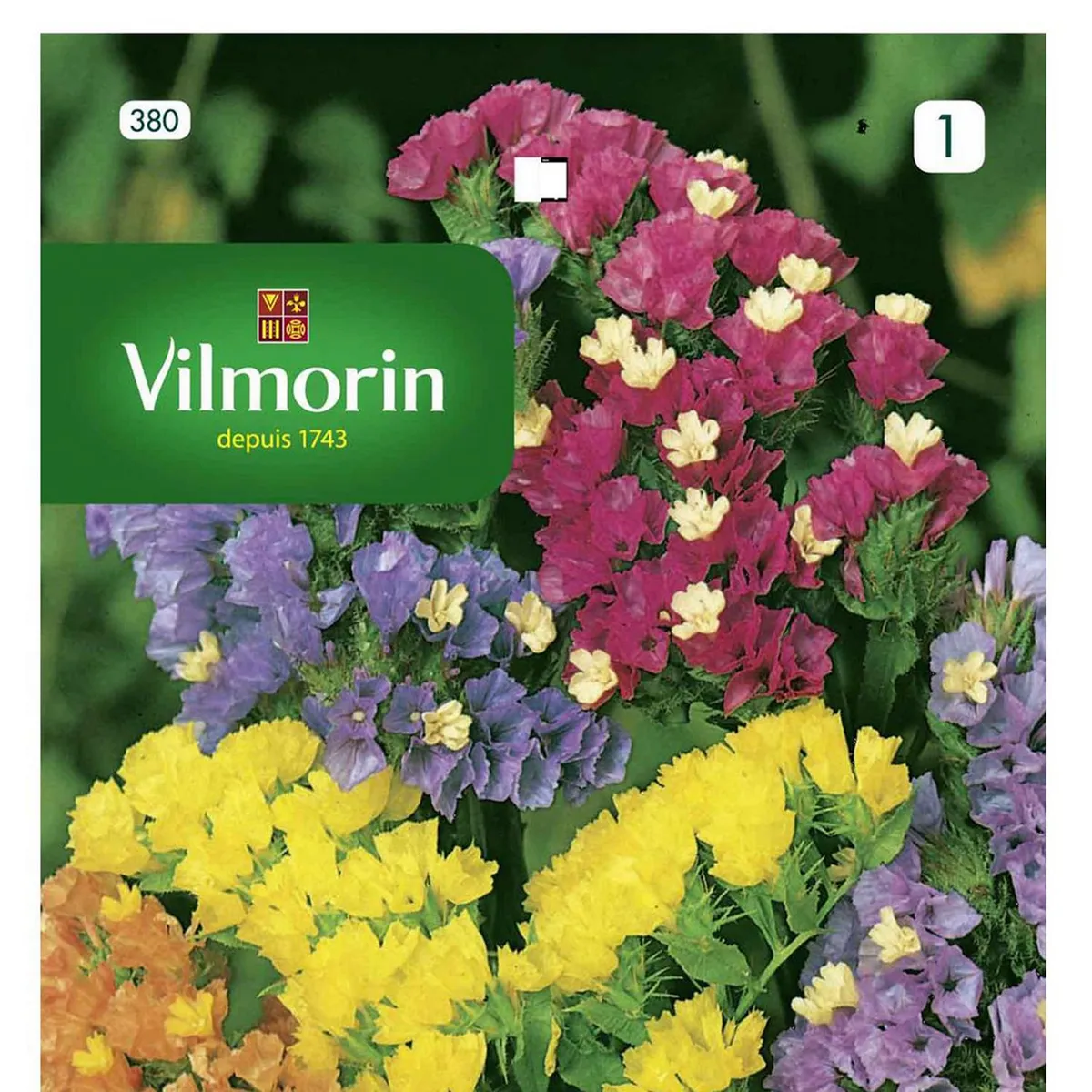 VILMORIN - Semilla Flor Statice Simiata 0.5 gr Sachet