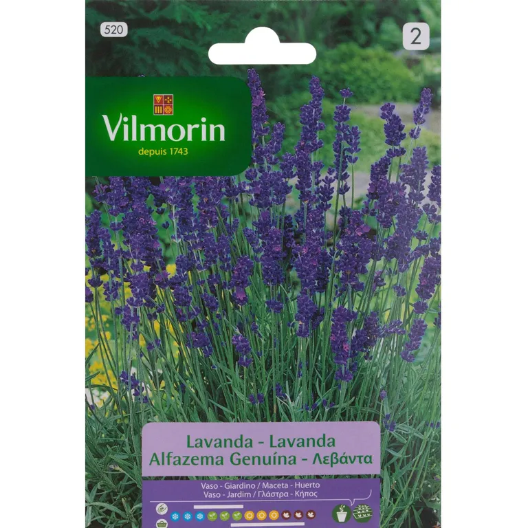 Semilla Lavanda 2 gr Sachet