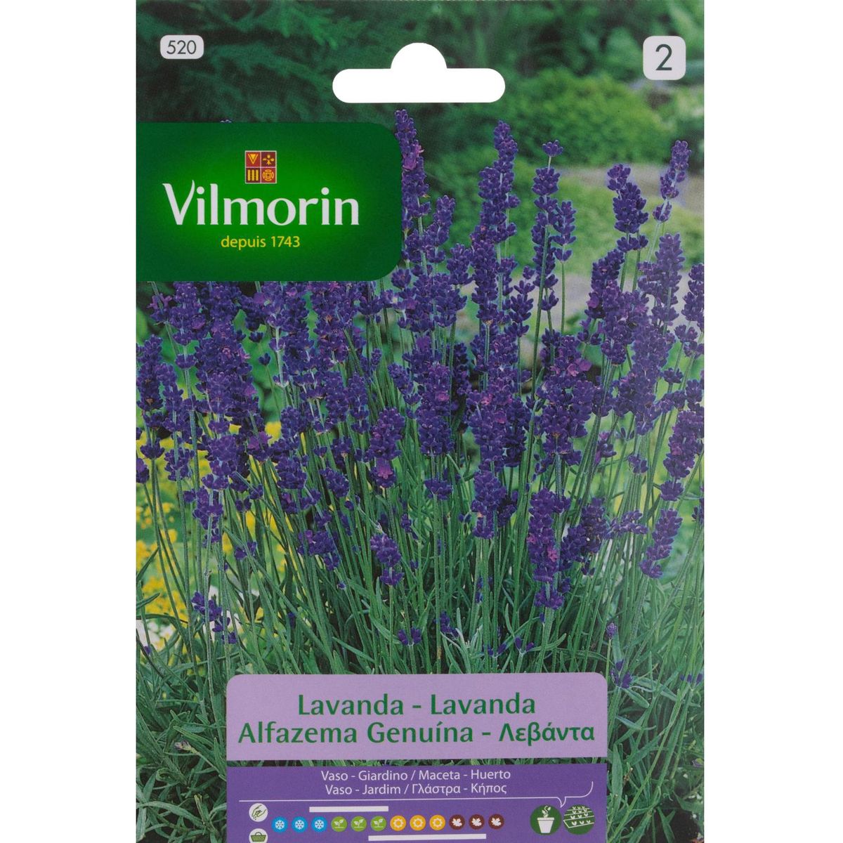 VILMORIN - Semilla Lavanda 2 gr Sachet