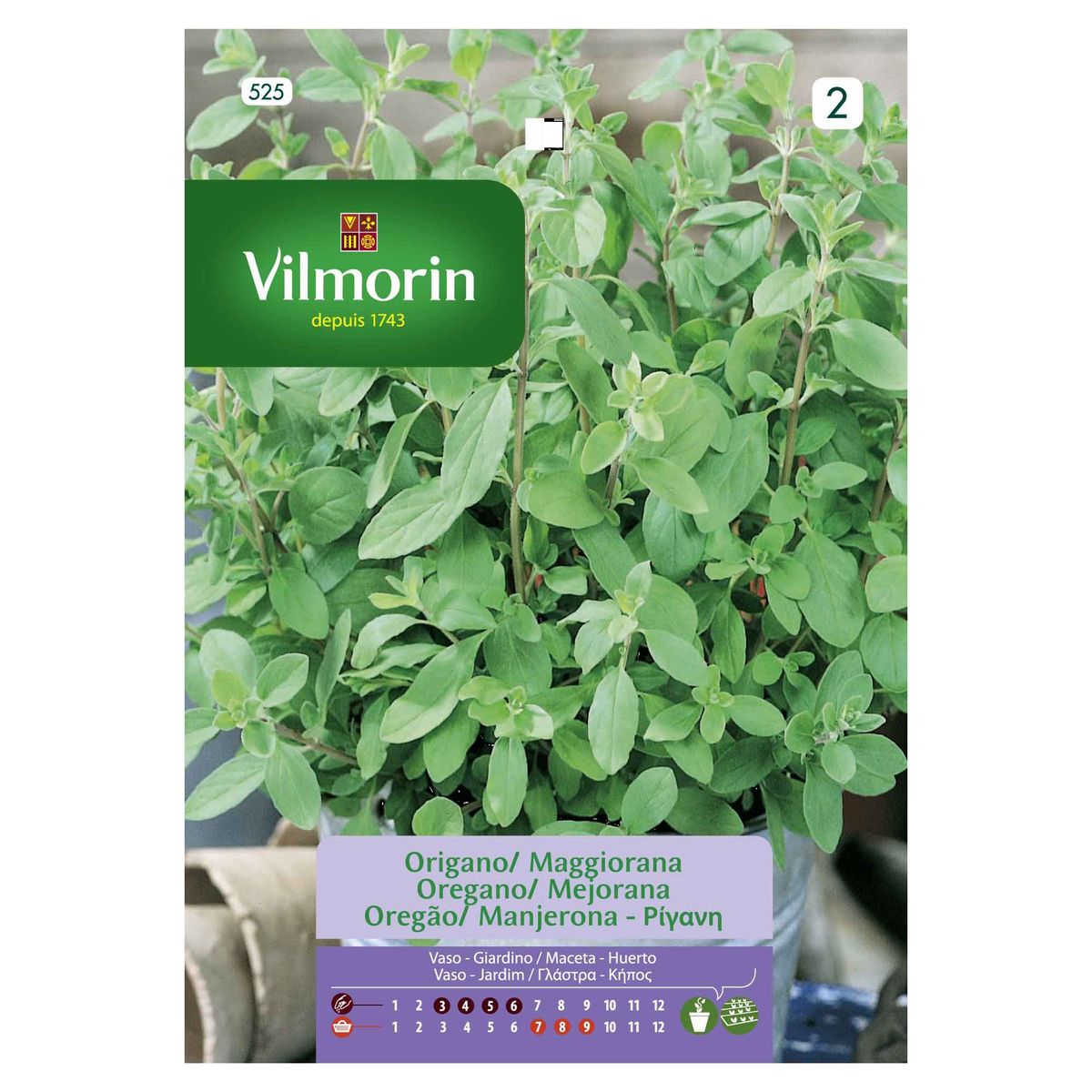 VILMORIN - Semilla Orégano 5 gr Sachet