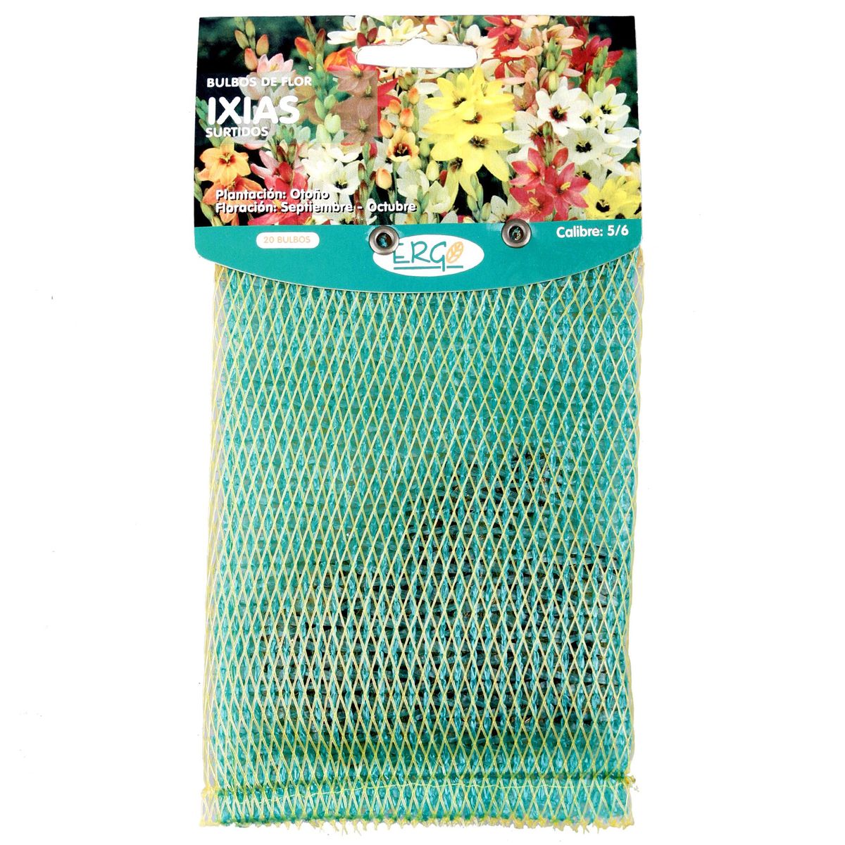 ERGO - Bulbo Ixia 20 unidades