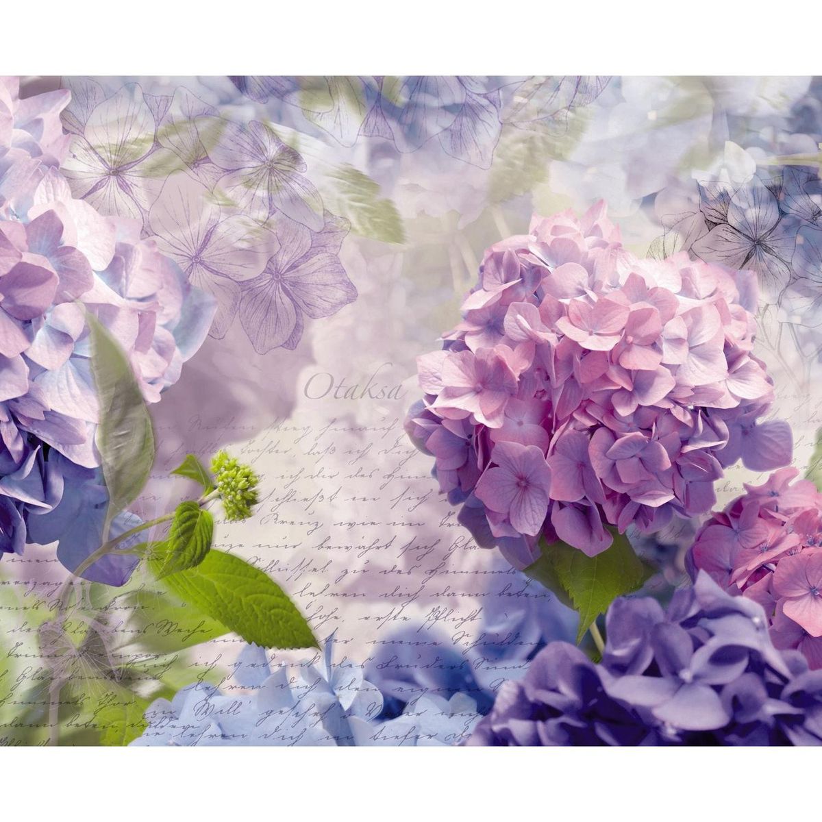 MURESCO - Papel Fotomural 8 Paneles Hortensia 8705 9,34 m2