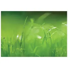 MURESCO - Papel Fotomural 8 Paneles Fondo Verde 8886 9,34 m2