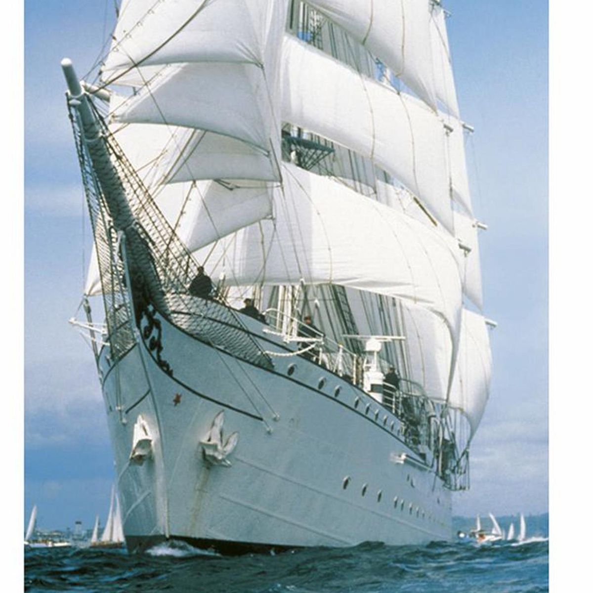 MURESCO - Papel Fotomural Variados 2,10 m2