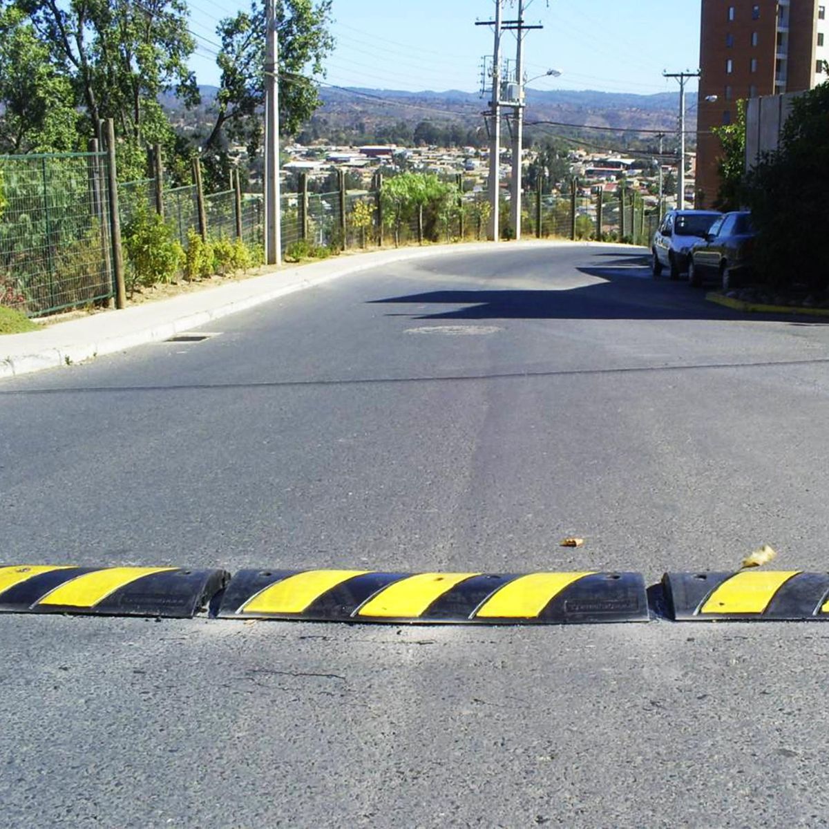 LORENZINI - Lomo De Toro Estándar