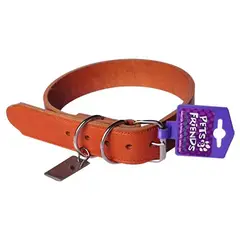 PETIZOOS - Collar para perro de cuero