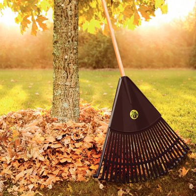 Imagen 2 del producto Barrehojas 26 dientes de plástico Negro