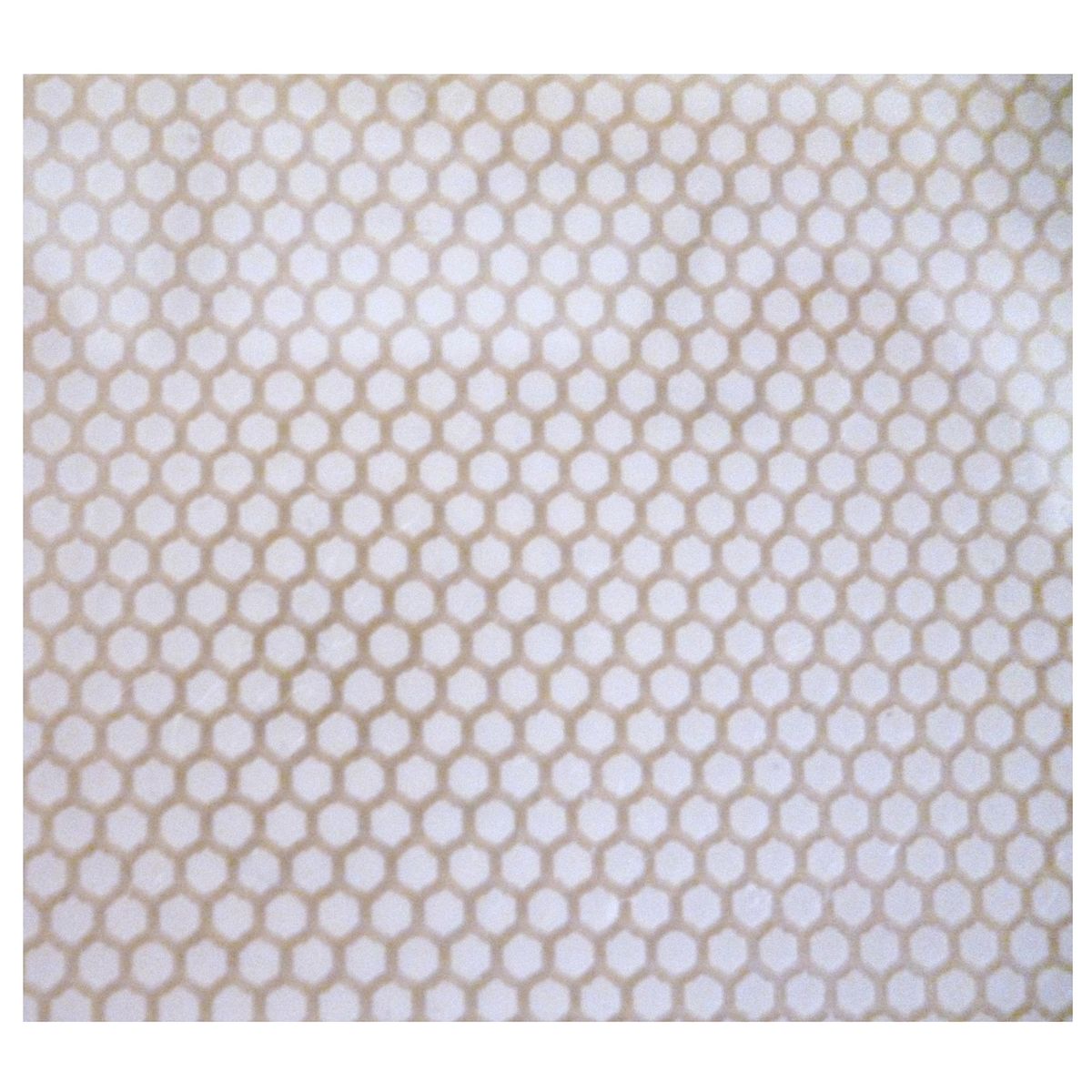 MURESCO - Papel Mural Pvc Adhesivo Transparente Puntos 90cm2